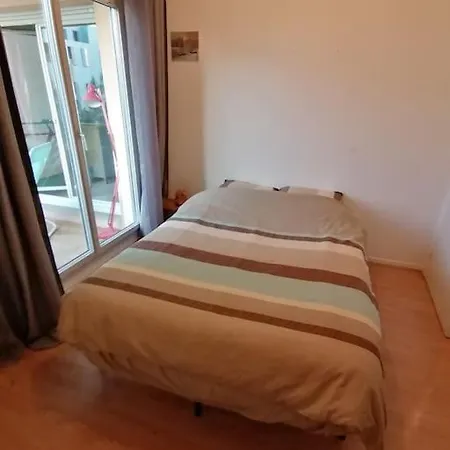 Appartement De Charme, Garage, Terrasse, Piscine Lyon